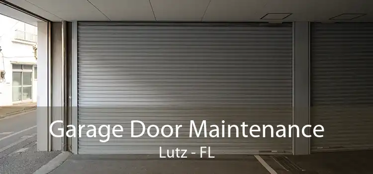 Garage Door Maintenance Lutz - FL
