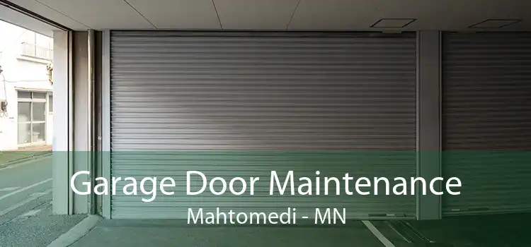 Garage Door Maintenance Mahtomedi - MN