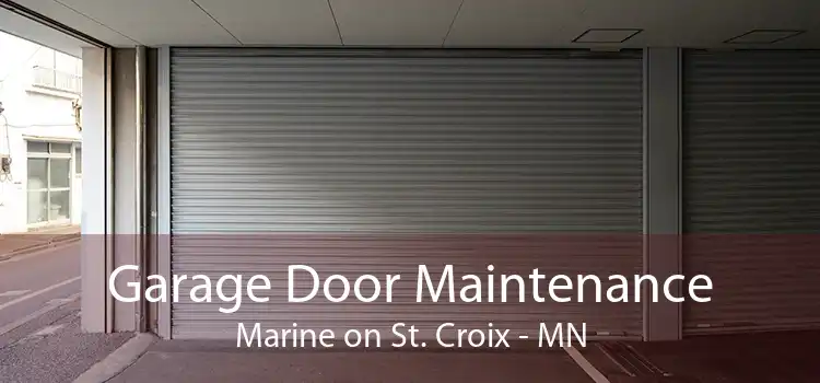 Garage Door Maintenance Marine on St. Croix - MN