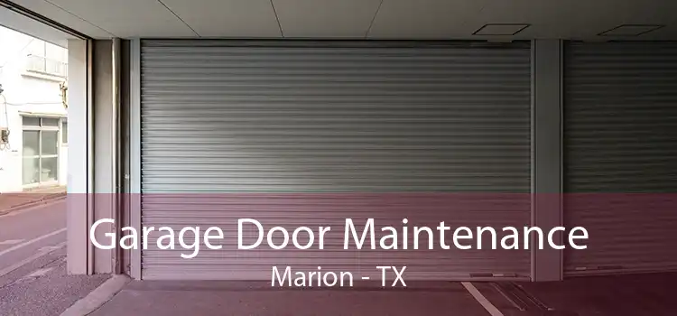 Garage Door Maintenance Marion - TX