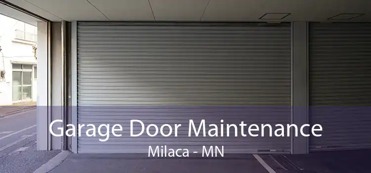 Garage Door Maintenance Milaca - MN