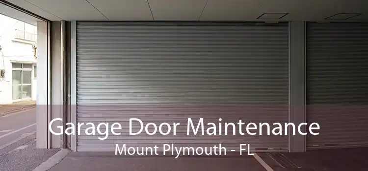 Garage Door Maintenance Mount Plymouth - FL