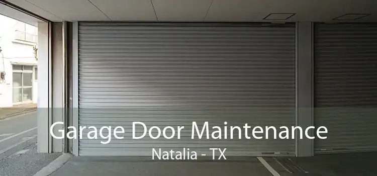Garage Door Maintenance Natalia - TX