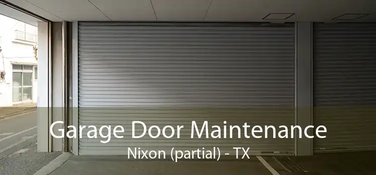 Garage Door Maintenance Nixon (partial) - TX