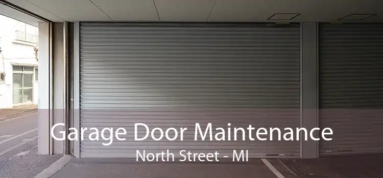 Garage Door Maintenance North Street - MI