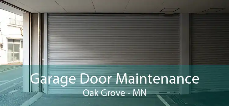 Garage Door Maintenance Oak Grove - MN