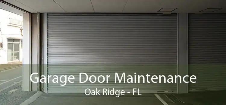 Garage Door Maintenance Oak Ridge - FL