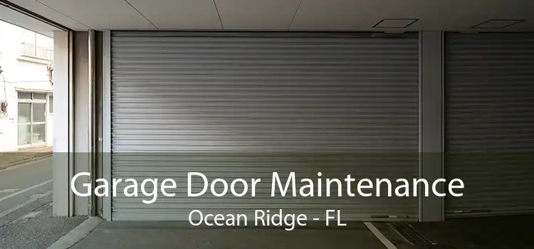 Garage Door Maintenance Ocean Ridge - FL