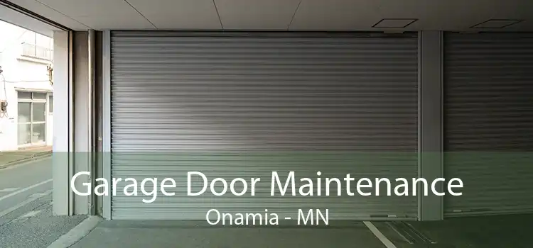 Garage Door Maintenance Onamia - MN