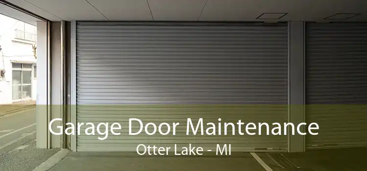 Garage Door Maintenance Otter Lake - MI