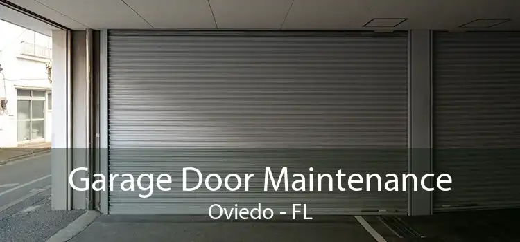 Garage Door Maintenance Oviedo - FL