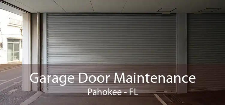 Garage Door Maintenance Pahokee - FL