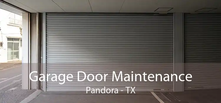 Garage Door Maintenance Pandora - TX