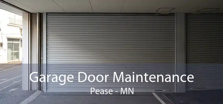 Garage Door Maintenance Pease - MN