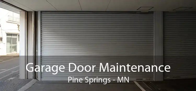 Garage Door Maintenance Pine Springs - MN