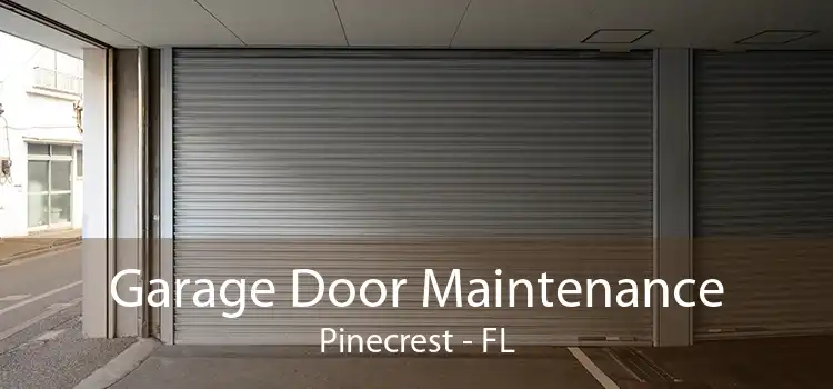  Garage Door Maintenance Pinecrest - FL