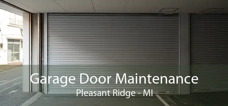 Garage Door Maintenance Pleasant Ridge - MI