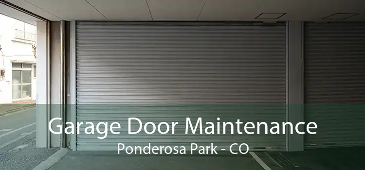 Garage Door Maintenance Ponderosa Park - CO