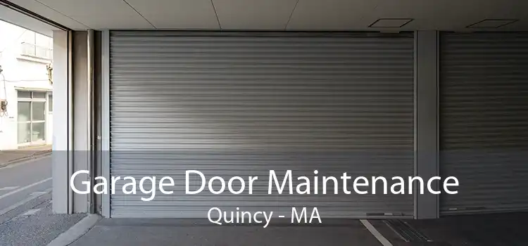 Garage Door Maintenance Quincy - MA