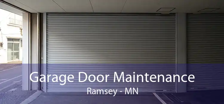 Garage Door Maintenance Ramsey - MN