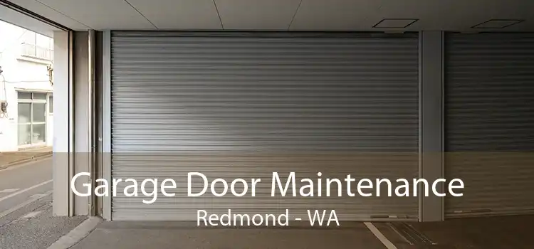 Garage Door Maintenance Redmond - WA