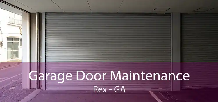 Garage Door Maintenance Rex - GA