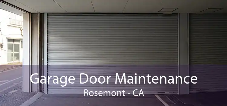 Garage Door Maintenance Rosemont - CA