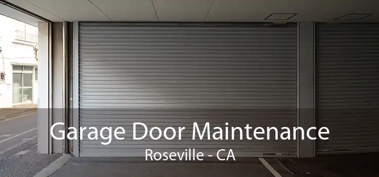 Garage Door Maintenance Roseville - CA