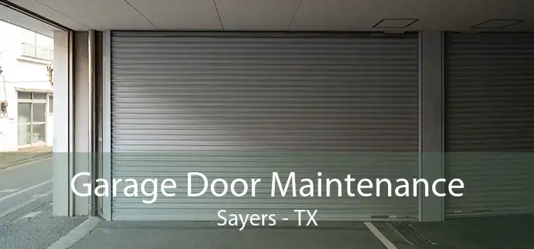  Garage Door Maintenance Sayers - TX