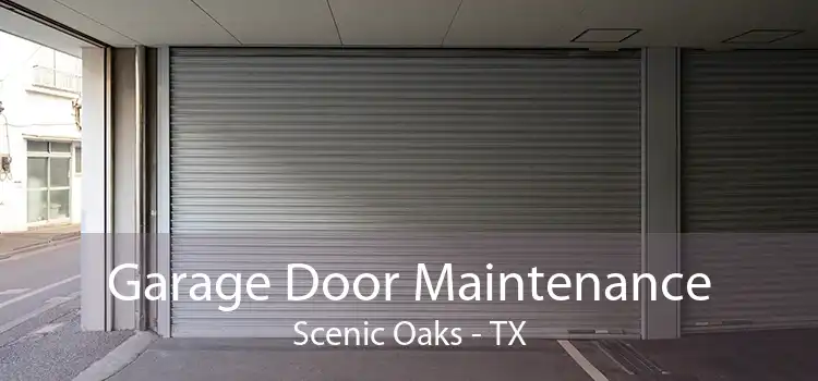 Garage Door Maintenance Scenic Oaks - TX