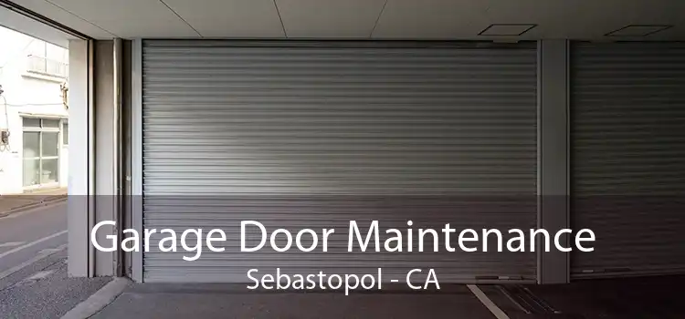 Garage Door Maintenance Sebastopol - CA