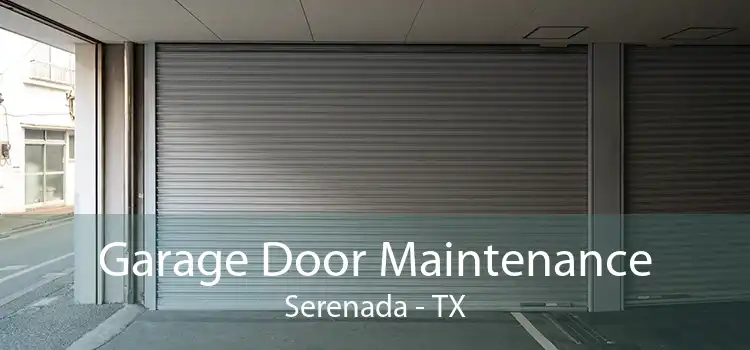  Garage Door Maintenance Serenada - TX