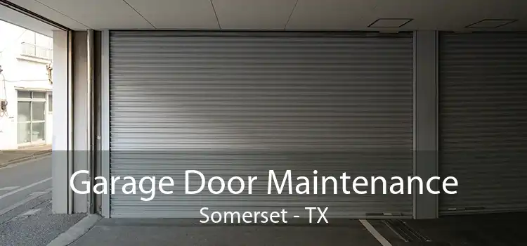 Garage Door Maintenance Somerset - TX
