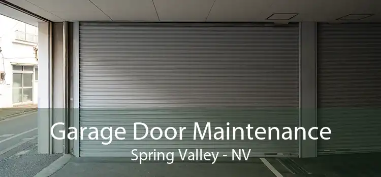 Garage Door Maintenance Spring Valley - NV