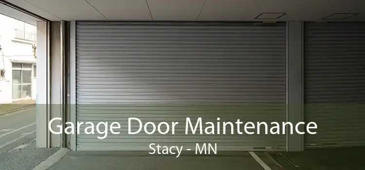 Garage Door Maintenance Stacy - MN