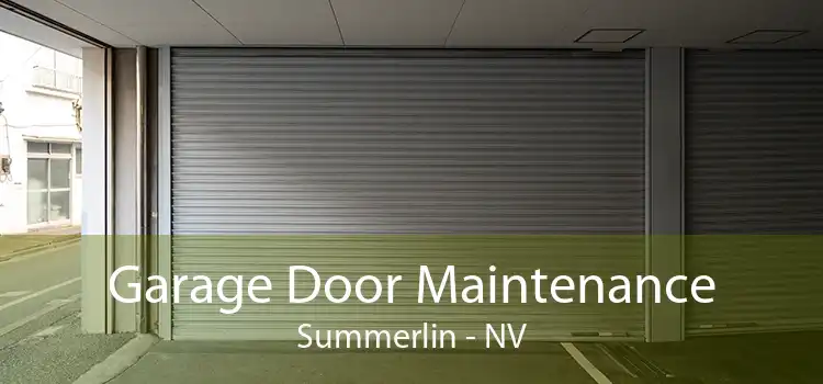 Garage Door Maintenance Summerlin - NV