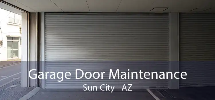 Garage Door Maintenance Sun City - AZ