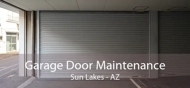 Garage Door Maintenance Sun Lakes - AZ