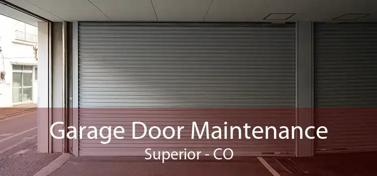 Garage Door Maintenance Superior - CO
