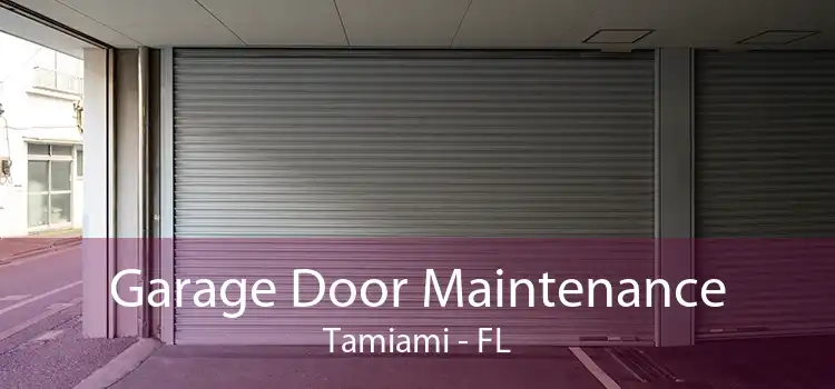 Garage Door Maintenance Tamiami - FL