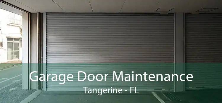 Garage Door Maintenance Tangerine - FL