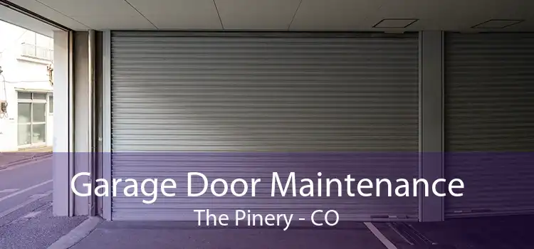 Garage Door Maintenance The Pinery - CO