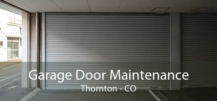 Garage Door Maintenance Thornton - CO