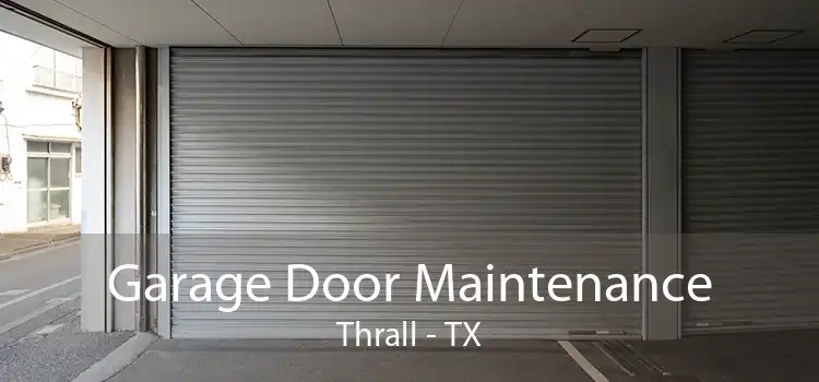 Garage Door Maintenance Thrall - TX