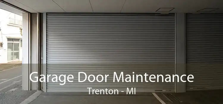 Garage Door Maintenance Trenton - MI