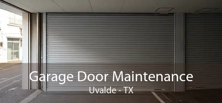 Garage Door Maintenance Uvalde - TX