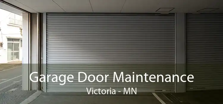 Garage Door Maintenance Victoria - MN