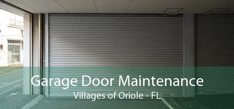 Garage Door Maintenance Villages of Oriole - FL