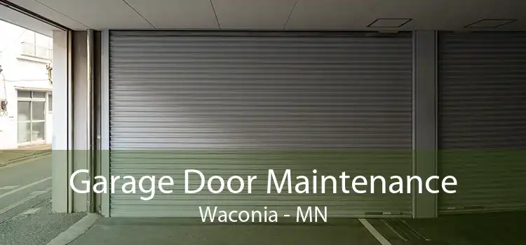 Garage Door Maintenance Waconia - MN