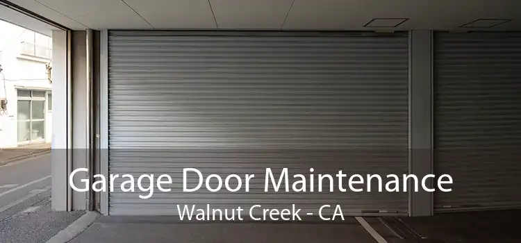 Garage Door Maintenance Walnut Creek - CA